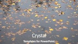  Presentation with rain water falling - Presentation theme having leaves in rain water puddle background and a  colored foreground