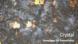  Presentation with rain water falling - PPT theme consisting of leaves in rain water puddle background and a  colored foreground