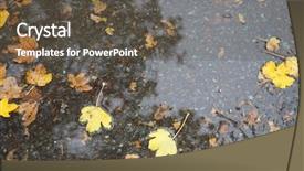  Presentation with rain water falling - Beautiful PPT theme featuring leaves in rain water puddle backdrop and a  colored foreground