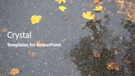  Presentation with rain water falling - Audience pleasing slides consisting of leaves in rain water puddle backdrop and a  colored foreground