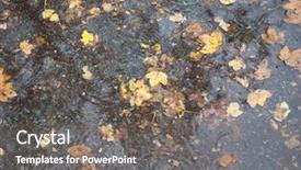  Presentation with rain water falling - Amazing slides having leaves in rain water puddle backdrop and a gray colored foreground