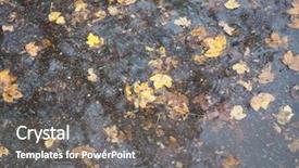  Presentation with rain water falling - Slide deck with leaves in rain water puddle background and a gray colored foreground