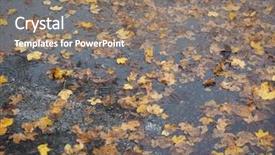  Presentation with rain water falling - Beautiful PPT layouts featuring leaves in rain water puddle backdrop and a gray colored foreground