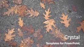  Presentation with rain water falling - Colorful presentation theme enhanced with leaves in rain water puddle backdrop and a gray colored foreground