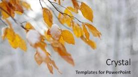  Presentation with fall leaves - Cool new slide deck with leaves in snow late fall backdrop and a  colored foreground