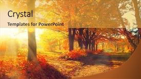  Presentation with fall leaves - Slides enhanced with leaves in sun rays background and a yellow colored foreground