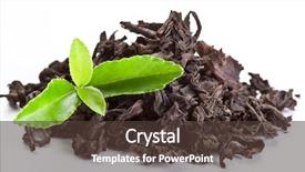  Presentation with green tea - Colorful slide set enhanced with leaves isolated on a white backdrop and a tawny brown colored foreground