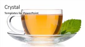  Presentation with gold leaves - PPT layouts enhanced with happy young girls tourists walking on streets in city tour santo domingo background and a light gray colored foreground