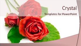  Presentation with green leaves - Slide deck with leaves isolated on white background background and a lemonade colored foreground