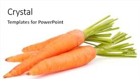  Presentation with leaves - Beautiful presentation design featuring coaches - internship word cloud concept backdrop and a dark gray colored foreground