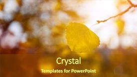  Presentation with leaves of the wetland forest - PPT layouts consisting of leaves of aspen in autumn background and a tawny brown colored foreground