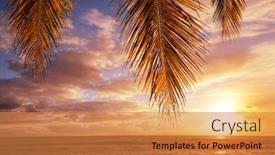  Presentation with coconut tree - Beautiful PPT layouts featuring leaves-of-coconut-palm-tree backdrop and a gold colored foreground