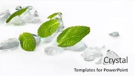  Presentation with mint - Amazing PPT theme having leaves of mint in ice backdrop and a  colored foreground