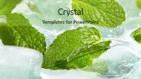  Presentation with chemistry leaves green leaf - Theme enhanced with leaves of mint in ice background and a yellow colored foreground