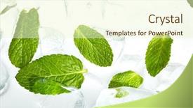  Presentation with chemistry leaves green leaf - Cool new PPT theme with leaves of mint in ice backdrop and a cream colored foreground