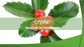  Presentation with fall leaves border white - Colorful slide set enhanced with leaves of mistletoe with berries backdrop and a tawny brown colored foreground