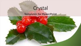  Presentation with berries - Amazing slides having leaves of mistletoe with berries backdrop and a  colored foreground