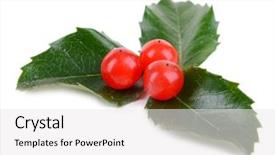  Presentation with fall leaves border white - Slide deck featuring leaves of mistletoe with berries background and a  colored foreground