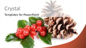  Presentation with berries - PPT layouts consisting of leaves-of-mistletoe-with-berries background and a  colored foreground