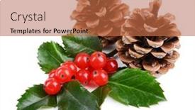  Presentation with berries - Theme enhanced with leaves-of-mistletoe-with-berries background and a  colored foreground