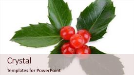  Presentation with isolated fall oak leaf - Slide deck consisting of leaves of mistletoe with berries background and a lemonade colored foreground