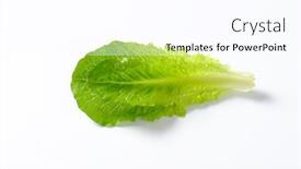  Presentation with lettuce - Cool new presentation theme with leaves-of-romaine-lettuce backdrop and a pink colored foreground