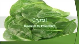  Presentation with spinach - Presentation theme featuring leaves of spinach background and a tawny brown colored foreground