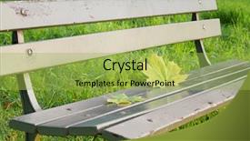  Presentation with fall leaves border autumn - Beautiful PPT theme featuring leaves on a park bench backdrop and a yellow colored foreground