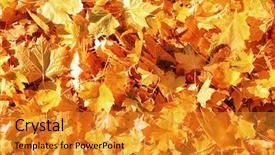  Presentation with autumn leaves - Audience pleasing slide set consisting of leaves on ground in autumn backdrop and a gold colored foreground