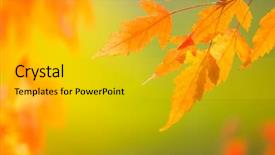  Presentation with abstract leaves - Presentation theme featuring leaves on soft background free background and a gold colored foreground