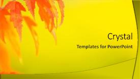  Presentation with abstract leaves - Presentation theme with leaves on soft background free background and a light gray colored foreground