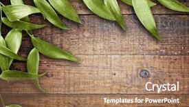  Presentation with green leaves - Theme enhanced with leaves on the old wood background and a coral colored foreground
