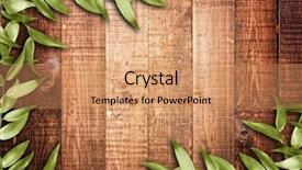  Presentation with chemistry leaves green leaf - PPT theme consisting of leaves on the old wood background and a coral colored foreground
