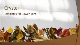  Presentation with green leaves coriander lay - PPT theme enhanced with leaves on white background flat background and a cream colored foreground