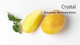  Presentation with quarter - Beautiful slide deck featuring leaves on white background backdrop and a white colored foreground