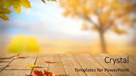  Presentation with falling leaves - Slides with leaves on wooden table fall background and a yellow colored foreground