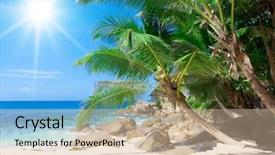  Presentation with relaxation - Beautiful presentation theme featuring nature palm tree two sun - leaves overhanging resort relaxation backdrop and a soft green colored foreground