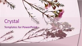  Presentation with green shadow - Cool new PPT theme with leaves pink flowers and bud backdrop and a lemonade colored foreground