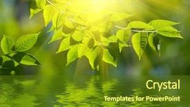  Presentation with water rain drop hanging on a fresh green leaf - Colorful slides enhanced with leaves reflecting in the water backdrop and a tawny brown colored foreground