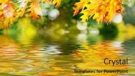  Presentation with autumn leaves - Slides having leaves reflecting in the water background and a gold colored foreground