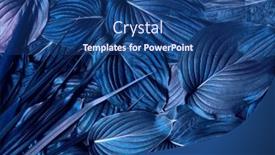  Presentation with nature - Slide set enhanced with leaves-texture-nature-background-blue background and a ocean colored foreground