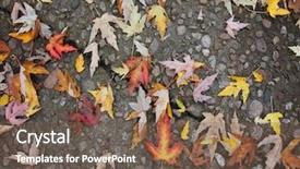  Presentation with path - Cool new PPT theme with leaves that have fallen on a path during autumn toned with a retro vintage instagram filter effect of app action backdrop and a violet colored foreground