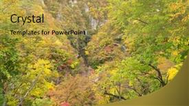  Presentation with autumn leaves - Presentation consisting of leaves-turning-color-in-autumn background and a yellow colored foreground