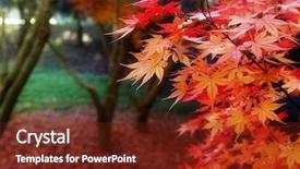  Presentation with multicolored autumn leaves orange yellow red - Audience pleasing slides consisting of leaves turning red in autumnal backdrop and a tawny brown colored foreground