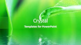  Presentation with water drop - Theme consisting of leaves with drop of water background and a shamrock green colored foreground