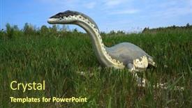  Presentation with classification - Beautiful slides featuring leba-poland-july-05-2012 backdrop and a tawny brown colored foreground