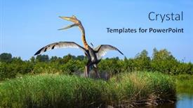  Presentation with classification - Presentation theme consisting of leba-poland-july-05-2012 background and a light blue colored foreground