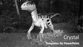  Presentation with classification - 