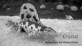  Presentation with dinosaur - 