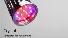  Presentation with growing - PPT layouts with led lamp for plant growing background and a light gray colored foreground